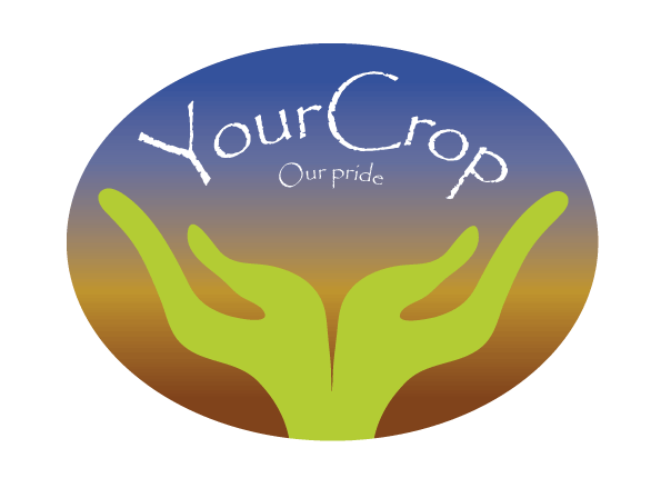 yourcrop